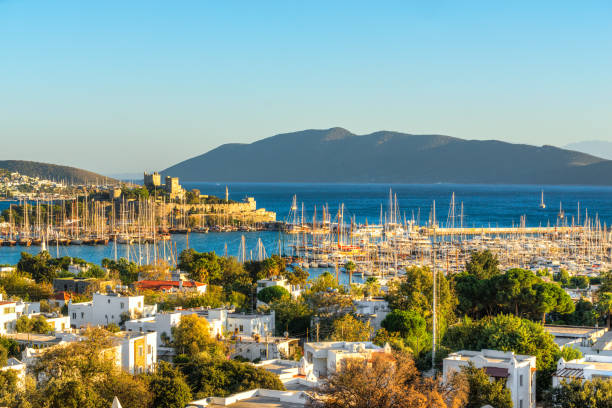 Bodrum Merkezde Uygun Fiyatlı ve Kaliteli Araç Kiralama Rehberi