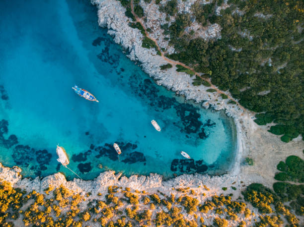 Bodrum Gezisinizi Unutulmaz Kılan Araç Kiralama Tavsiyeleri