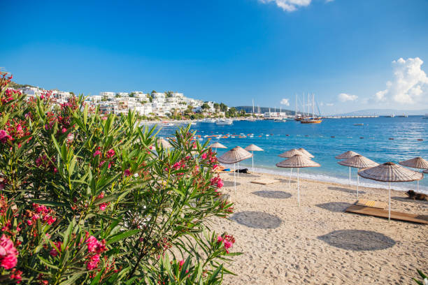 Car Rental in Bodrum: Explore the Best Beaches with Matcar Rental